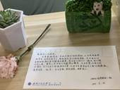 mk体育